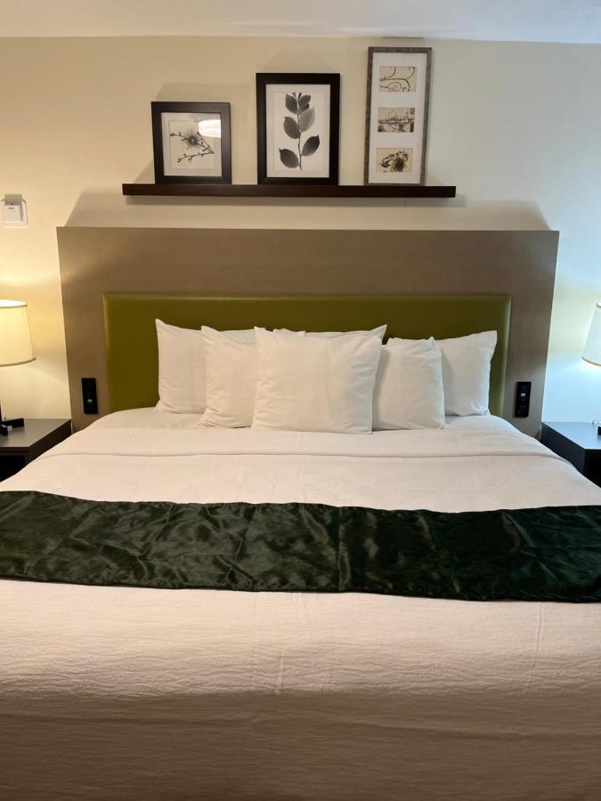 Pictured Rocks Inn And Suites Манисинг Екстериор снимка